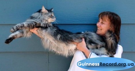 11 самых нелепых рекордов 2011 года в книге гиннеса 11 самых нелепых рекордов 2011 года в книге гиннеса